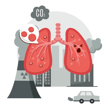 The image is not loaded