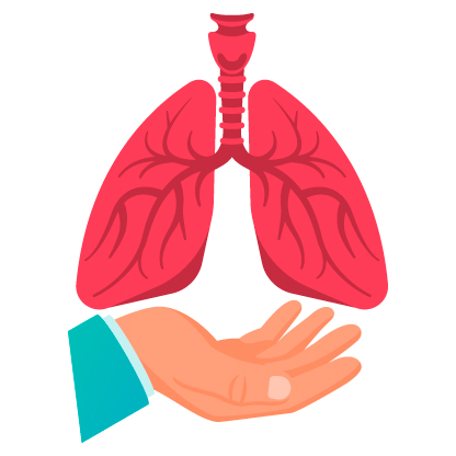 The image is not loaded The image is not loaded