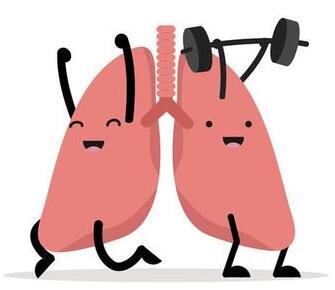 स्वस्थ फेफड़े