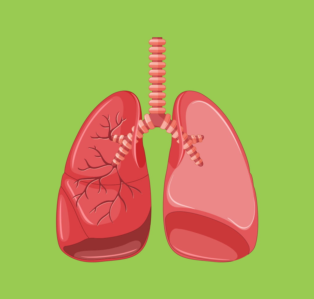 How to protect your lungs