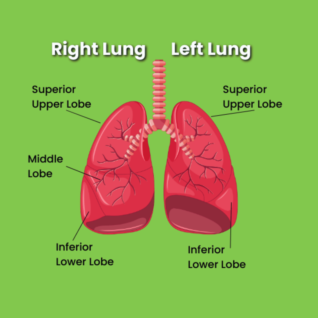 How to protect your lungs